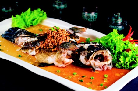 Image Courtesy of Tao Seafood Asia
