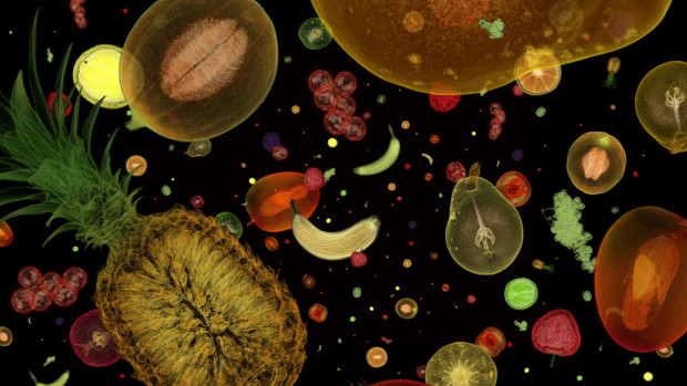 Peter Coffin sends us into a fantastical galaxy with projections of x-rayed fruits in 'Untitled (Flying Fruits)'. Image courtesy of the artist
