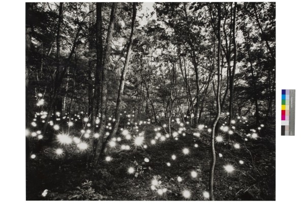 Tokihiron Sato, 'Kashimagawa #352'. 1998. Deutsche Bank Collection 