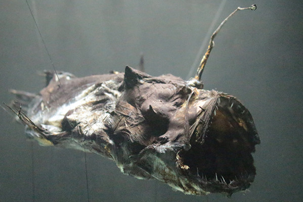  7 Of The Creepiest Creatures On Display At ArtScience Museum