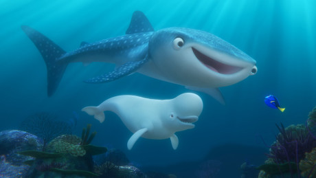 "Finding Dory" introduces new characters to the big screen, including a whale shark named Destiny who's nearsighted, and a beluga whale named Bailey who thinks his biological sonar skills are on the fritz. Featuring Kaitlin Olson as the voice of Destiny and Ty Burrell as the voice of Bailey, "Finding Dory" opens on June 17, 2016. ©2016 Disney•Pixar. All Rights Reserved.