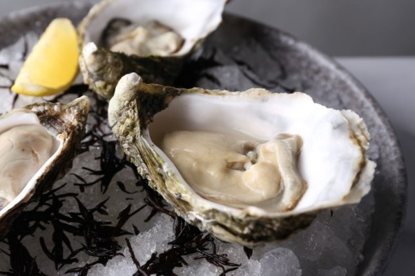 live-irish-oysters-nude seafood