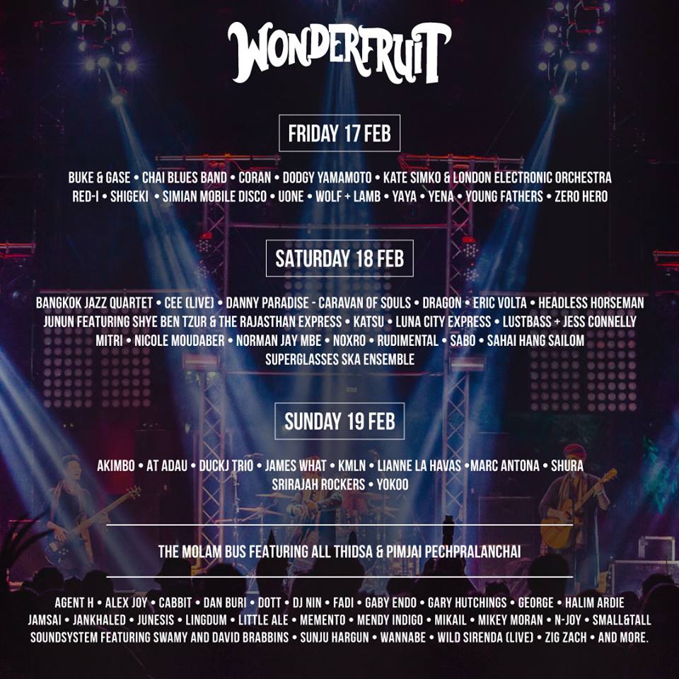 Line-up for Wonderfruit 2017