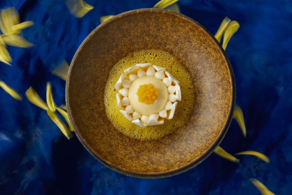 Blooming Passion Fruit - Coconut Mousse