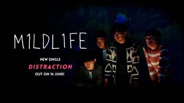 m1ldl1fe-distraction
