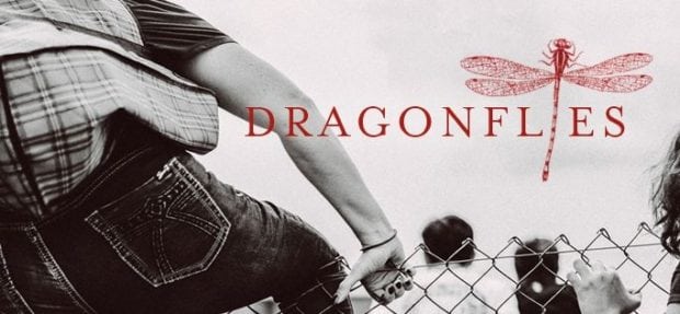 dragonflies DR-Preview-Banner1