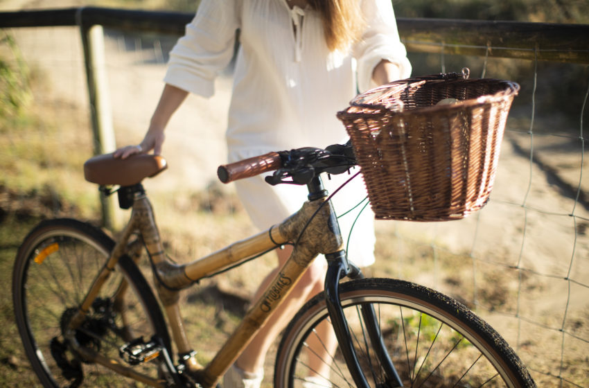  Go WYLD: A Sustainable Bamboo Bike is Helping People and the Planet