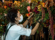 popspoken charlotte puxley flowers Singapore MAIN