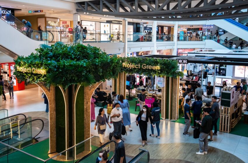  Sustainability Youth Festival, Green Future Or A Convenient Brand