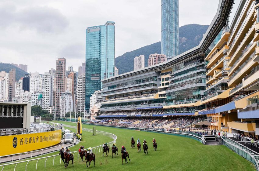  A City Reawakens: From Electronic Euphoria to Immersive Art, Hong Kong Finds Its Rhythm