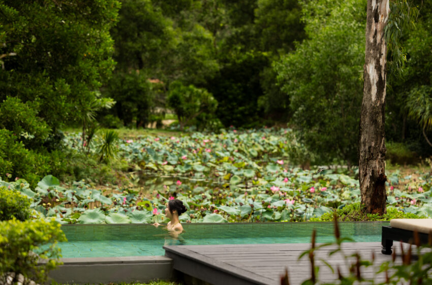  Vietnam After Dark: The Rooftops, Hidden Bars and Luxury Escapes Worth Planning a Trip Around